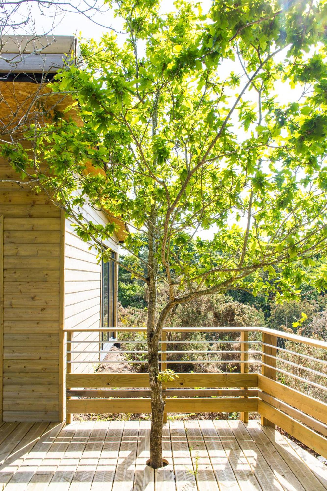 La Carri'Air Villa Pont-Aven Rom bilde